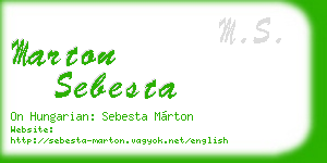 marton sebesta business card