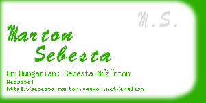 marton sebesta business card